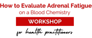 Dr. Bryan Walsh - How To Evaluate Adrenal Fatigue on a Blood Chemistry Workshop
